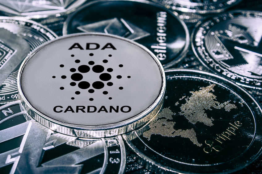 限定Scamコイン Cardano ADA リアルコイン カルダノ エマーゴ hd5Tt-m16942391890 | rccgcanada.net